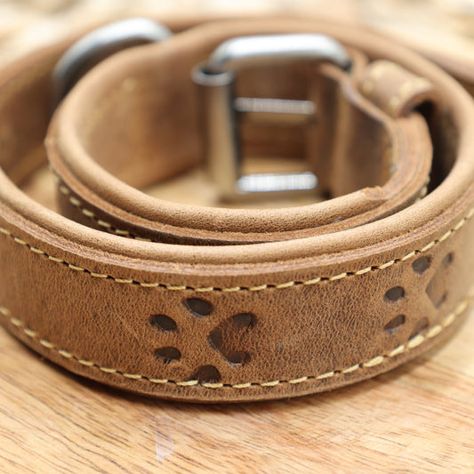 "Leder Hundehalsband Greenburry Rollenschloss Detail Vintage Look 46-53cm"